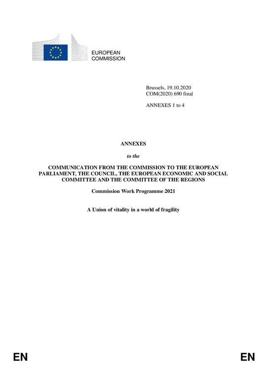 Work Programme 2021.pdf