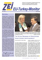 ZEI-EU-Turkey-Monitor-2006-2-2.pdf