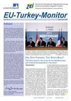 ZEI-EU-Turkey-Monitor-2008-4-2.pdf