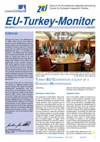 ZEI-EU-Turkey-Monitor-2011-7-1.pdf