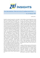 ZEI-Insights_12_2015.pdf