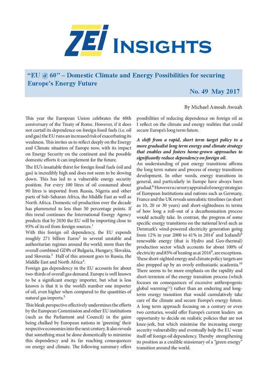 ZEI-Insights_49_2017.pdf