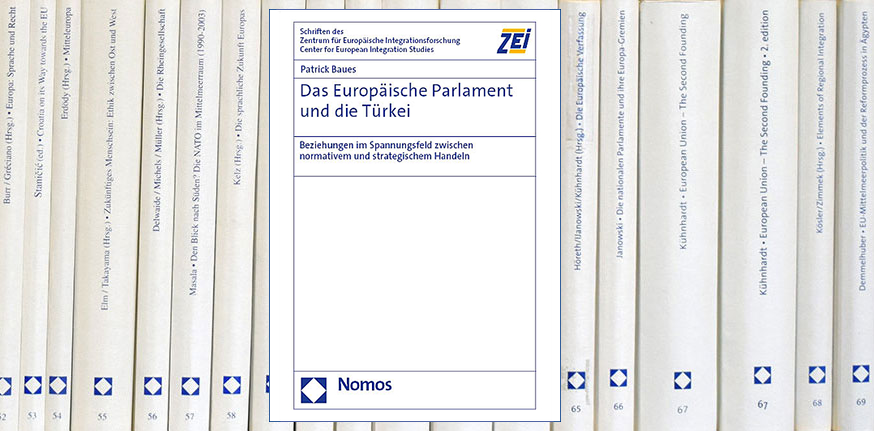 Schriften des ZEI 87