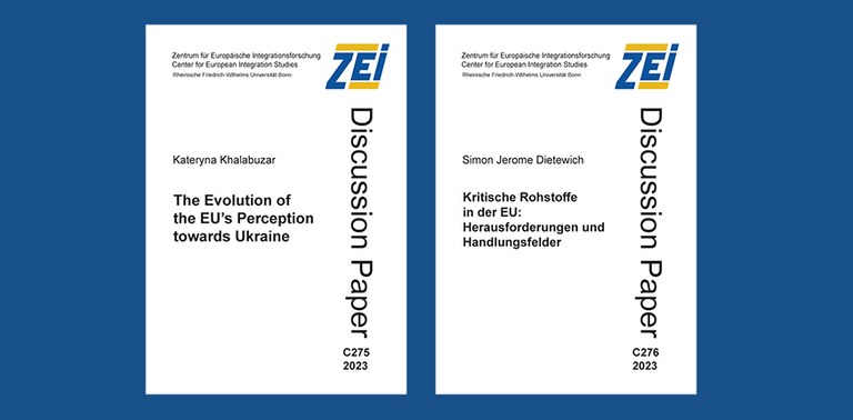 ZEI DP 275 276 n ZEI DP 275 276 n